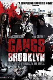 Gangs of Brooklyn (2012) คนโฉดเมืองอันธพาล