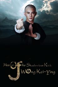 Master Of The Shadowless Kick Wong Kei-Ying (2016) ยอดยุทธ พ่อหนุ่มไร้เงา