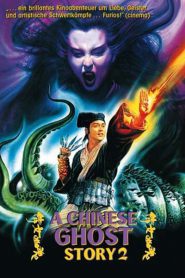 A Chinese Ghost Story 2 (1990) โปเยโปโลเย ภาค 2