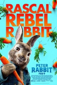 Peter Rabbit ปีเตอร์ แรบบิท