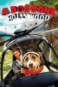 A Doggone Hollywood (2017) 1 หมาในฮอลลีวู้ด