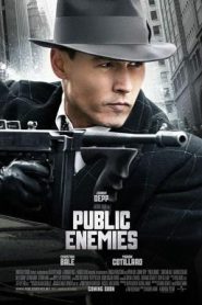 Public Enemies (2009) วีรบุรุษปล้นสะท้านเมือง