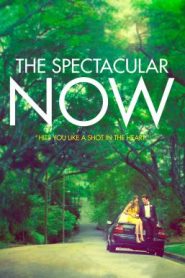 The Spectacular Now (2013) ใครสักคนบนโลกใบนี้