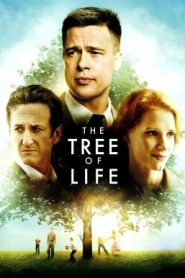 The Tree of Life (2011) ต้นไม้แห่งชีวิต