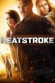 Heatstroke (2013) อีกอึดหัวใจสู้เพื่อรัก