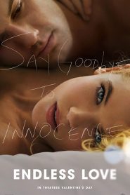 Endless Love (2014) รักนิรันดร์