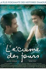 Mood Indigo (2013) รักนี้มหัศจรรย์