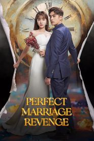 ซีรี่ส์เกาหลี Perfect Marriage Revenge (2023) วิวาห์ลวง ชวนให้รัก