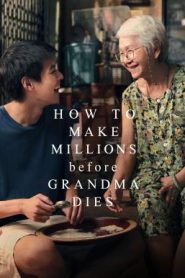 หลานม่า How to Make Millions Before Grandma Dies (2024)